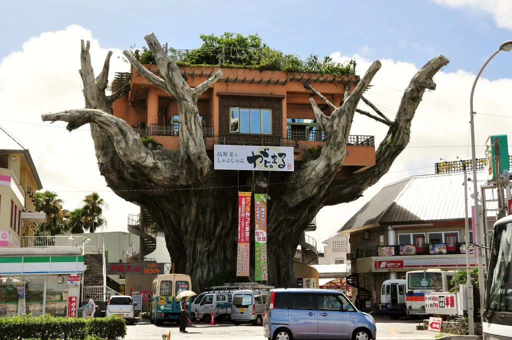 Okinawa Restaurant